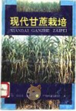 现代甘蔗栽培   1992  PDF电子版封面  7535909949  邓绍同编著 