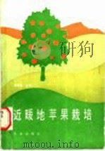 近暖地苹果栽培   1991  PDF电子版封面  7109019365  周厚基主编 