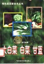 大白菜  白菜  甘蓝   1999  PDF电子版封面  7502331557  宋元林，王倩主编 