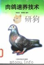 肉鸽速养技术   1997  PDF电子版封面  7539010517  陈瑞光，程春焱编写 