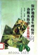 保护地蔬菜生理病害诊断及防治  彩色图册   1999  PDF电子版封面  7109054969  梁成华，吴建繁编著 