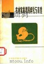农村家禽简易孵化与育雏   1988  PDF电子版封面  7539001194  邓肇杰等编写 