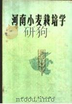 河南小麦栽培学   1988  PDF电子版封面  7534901189  河南省农业科学院主编 