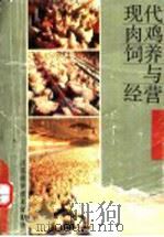 现代肉鸡饲养与经营   1990  PDF电子版封面  7534510031  黄松滨等编著 