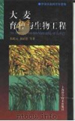 大麦育种与生物工程   1999  PDF电子版封面  753235167X  朱睦元，黄培忠等著 