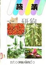 蔬菜   1987  PDF电子版封面    周廷光著 