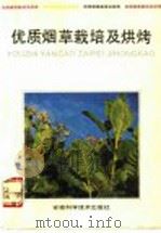 优质烟草栽培及烘烤   1992  PDF电子版封面  7533704827  金思明，王培林编著 