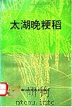 太湖晚粳稻   1993  PDF电子版封面  7534105064  肖汝其，董耀龄主编 