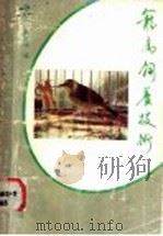 笼鸟饲养技术   1989  PDF电子版封面  7535904394  陈丰泰，黄汝凑编 