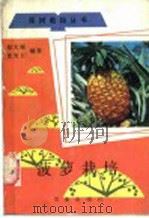菠萝栽培   1987  PDF电子版封面  7109001318  赵文振，沈雪玉编著 