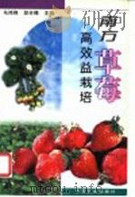 南方草莓高效益栽培（1993 PDF版）