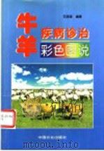 牛羊疾病诊治彩色图说   1998  PDF电子版封面  710905196X  范国雄编著 