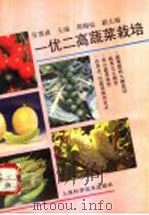 一优二高蔬菜栽培   1993  PDF电子版封面  7532332934  张德威主编 