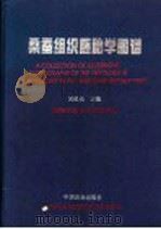 桑蚕组织胚胎学图谱   1999  PDF电子版封面  7109040798  吴维光主编 