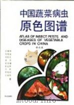 中国蔬菜病虫原色图谱   1998  PDF电子版封面  710902628X  吕佩珂等著 