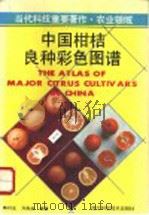 中国柑桔良种彩色图谱   1993  PDF电子版封面  7536424663  陈竹生，万良珍编著 