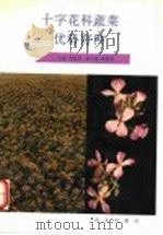 十字花科蔬菜优势育种   1993  PDF电子版封面  7109030822  何启伟主编 