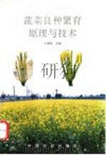 蔬菜良种繁育原理与技术   1995  PDF电子版封面  7109036049  王爱民主编 