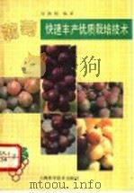葡萄快速丰产优质栽培技术   1994  PDF电子版封面  7532333620  唐海根编著 