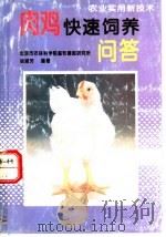 肉鸡快速饲养问答   1996  PDF电子版封面  7116019596  徐淑芳编著 
