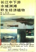 长江中下游水域洲滩野生经济植物   1993  PDF电子版封面  753571255X  文明主编；李一举等编写 