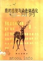 鹿的核型与染色体进化   1988  PDF电子版封面  7030003489  王宗仁，杜若甫著 