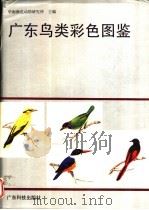 广东鸟类彩色图鉴   1991  PDF电子版封面  7535906133  华南濒危动物研究所主编 