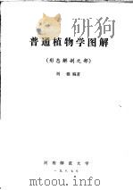 普通植物学图解  形态解剖之部     PDF电子版封面    刘穆编著 