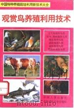 观赏鸟养殖利用技术（1994 PDF版）