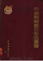 中药组织鉴别彩色图谱   1989  PDF电子版封面  7800201279  王玉玺等编著 