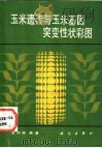 玉米遗传与玉米基因突变性状彩图   1989  PDF电子版封面  7030010620  宋同明编著 