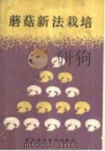 蘑菇新法栽培   1986  PDF电子版封面  7536412290  刘安民编著 