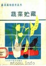 蔬菜贮藏   1989  PDF电子版封面  7533104587  张世德编著 