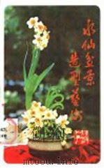 水仙盆景造型艺术   1988  PDF电子版封面  7533501047  蔡树木编著 