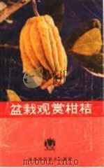 盆栽观赏柑桔   1989  PDF电子版封面  7534507936  邵忠编著 