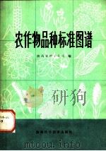 农作物品种标准图谱   1980  PDF电子版封面  16202·9  陕西省种子公司编 