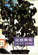 盆栽葡萄（1983 PDF版）