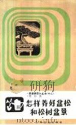 怎样养好盆松和松树盆景   1985  PDF电子版封面  16077·3023  沈治民著 