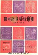 甜叶菊栽培与利用（1985 PDF版）