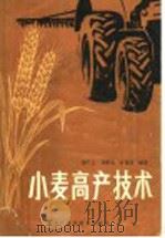 小麦高产技术   1985  PDF电子版封面  16217·115  胡广义，刘惠辰，白瑞珍编著 