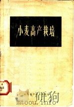 小麦高产栽培   1979  PDF电子版封面  16195·24  王靖宇等编著 