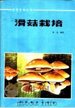 滑菇栽培   1984  PDF电子版封面  16051·1056  朱克编著 