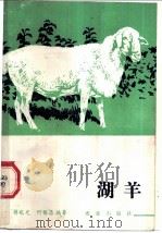 湖羊   1985  PDF电子版封面  16144·2983  蒋兆光，何锡昌编著 