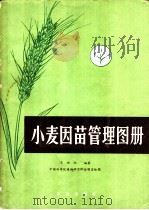 小麦因苗管理图册   1979  PDF电子版封面  16144·1852  王卉之编著；中国科学院植物研究所绘图室绘图 