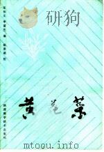黄花菜   1983  PDF电子版封面  16202·90  张和义，申富芝编 