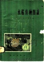 水稻育秧图说   1959  PDF电子版封面  16144·641  （日）天辰克已编；北京编译社译 
