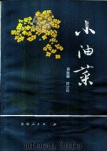 小油菜   1978  PDF电子版封面  16097·183  邵德福，田正科编 