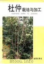 杜仲栽培与加工（1993 PDF版）