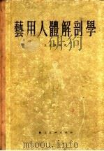 艺用人体解剖学   1956  PDF电子版封面    文金扬编著 