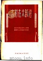 农村在大跃进   1958  PDF电子版封面    会宇等 